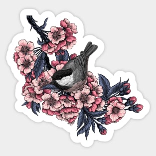 Chickadee on a blooming cherry branch Sticker